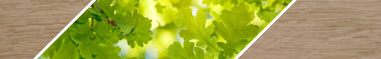 Oak